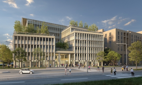 Mokuzai - Bordeaux - Parallel Digital